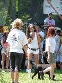 2012. Msorvezets: III. Authifi s Tuning Fesztivl - Miskolci Egyetem